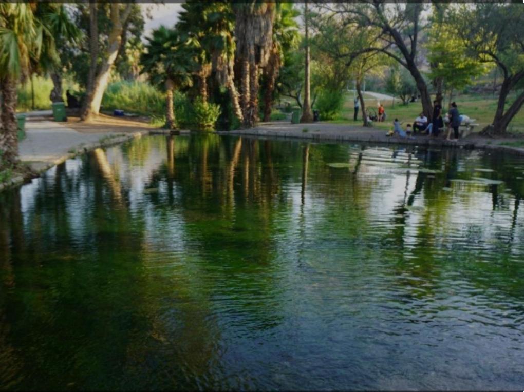 Migdalor Daire Dış mekan fotoğraf
